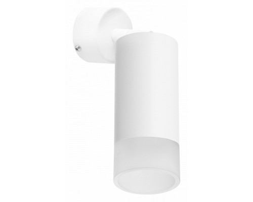 Спот Lightstar Rullo RB43631 Спот Lightstar Rullo RB43631