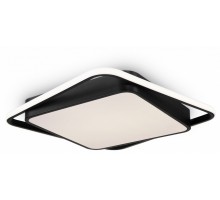 Накладной светильник Freya  FR10030CL-L88B