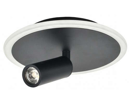 Светильник на штанге Escada 20046LED 20046SMA/01LED BK Светильник на штанге Escada 20046LED 20046SMA/01LED BK