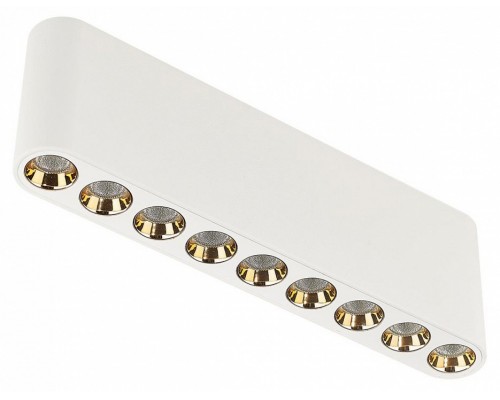 Накладной светильник Odeon Light Small 7091/21CL Накладной светильник Odeon Light Small 7091/21CL