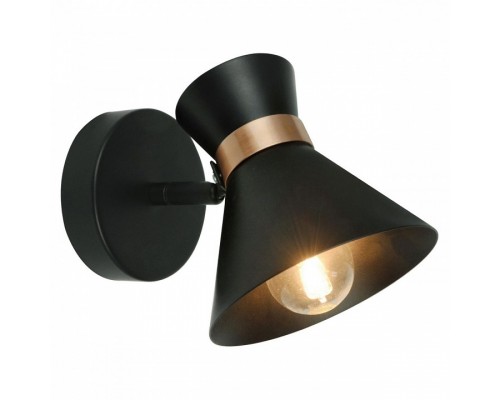 Спот Arte Lamp Baltimore A1406AP-1BK Спот Arte Lamp Baltimore A1406AP-1BK