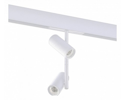 Светильник на штанге ST-Luce ST808 Светильник на штанге ST-Luce ST808