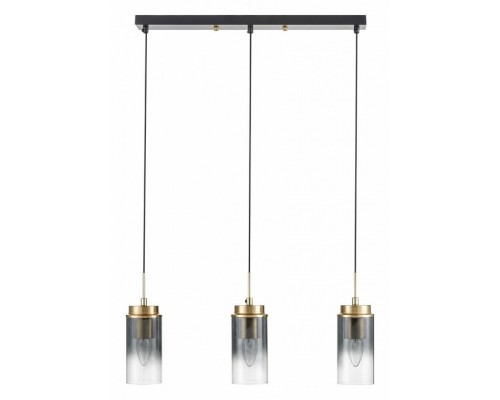 Подвесной светильник Lumion Isha 8101/3A