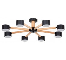 Потолочная люстра Arte Lamp TENDA A1624PL-8BK