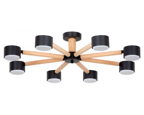 Потолочная люстра Arte Lamp TENDA A1624PL-8BK