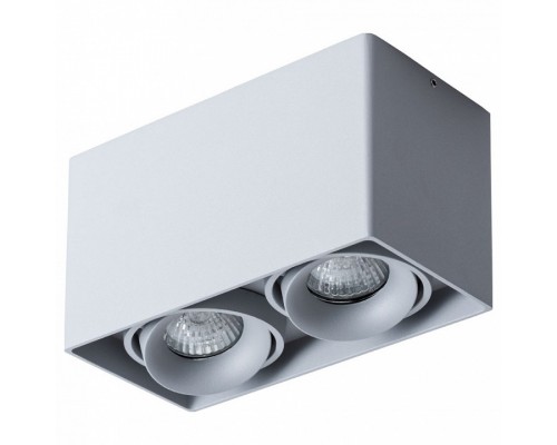 Накладной светильник Arte Lamp Pictor A5654PL-2GY