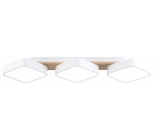 Накладной светильник Ambrella Light FL FL4877