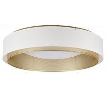 Накладной светильник MyFar Anders MR2371-1CL