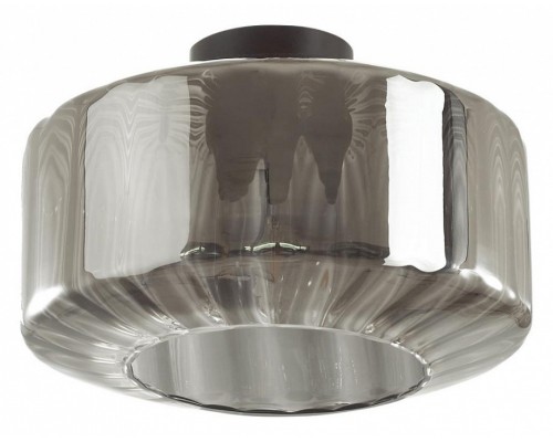 Накладной светильник Odeon Light Binga 4746/1C Накладной светильник Odeon Light Binga 4746/1C
