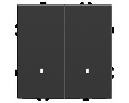 Выключатель двухклавишный с подсветкой без рамки Stekker RSW10-5102-05 49838 Выключатель двухклавишный с подсветкой без рамки Stekker RSW10-5102-05 49838