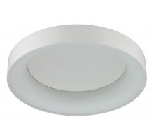 Накладной светильник Odeon Light Sole 4062/50CL