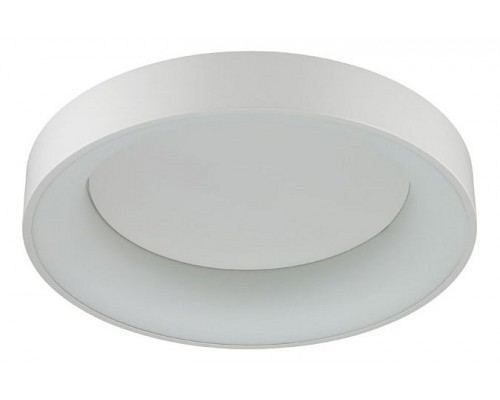 Накладной светильник Odeon Light Sole 4062/50CL