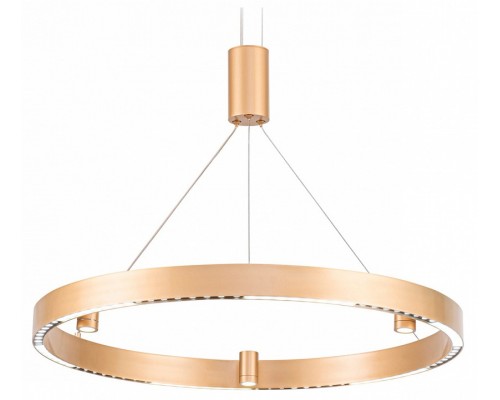 Подвесной светильник Ambrella Light FL FL5846