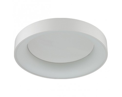 Накладной светильник Odeon Light Sole 4066/40CL