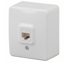 Розетка телефонная RJ-11 Эра Эра Эксперт 11-3202-01