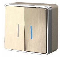 Выключатель двухклавишный с подсветкой Werkel Gallant (шампань рифленый) W5020110