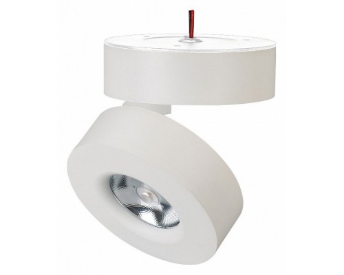 Светильник на штанге Arlight MONA 025439(1) Светильник на штанге Arlight MONA 025439(1)