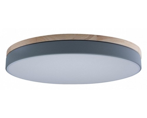 Накладной светильник Loft it Axel 10001/36 Grey Накладной светильник Loft it Axel 10001/36 Grey