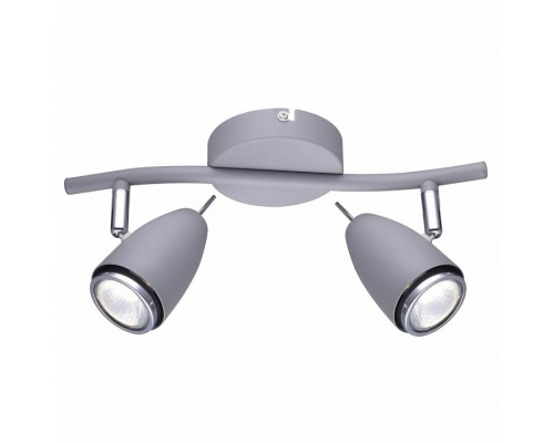 Спот Arte Lamp Regista A1966AP-2GY Спот Arte Lamp Regista A1966AP-2GY