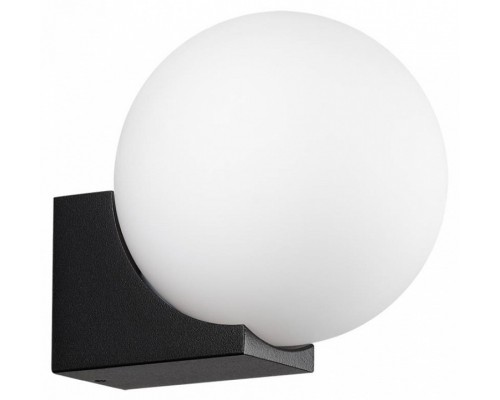 Накладной светильник Odeon Light NATURE 7124/1WA