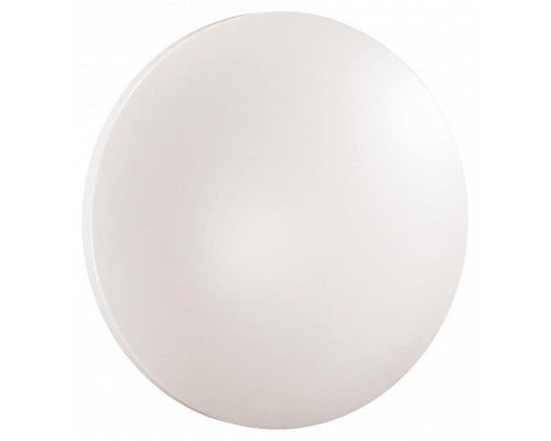 Накладной светильник Sonex PALE 3017/CLN