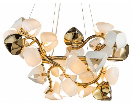 Подвесная люстра Lussole Fayette 