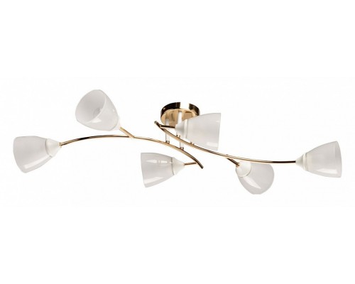 Потолочная люстра De City Восторг 25 242018006