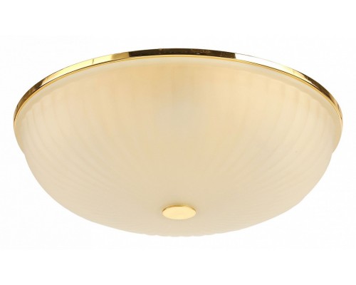 Накладной светильник F-promo Costa 2752-5C Накладной светильник F-promo Costa 2752-5C