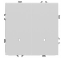 Выключатель двухклавишный с подсветкой без рамки Stekker RSW10-5102-01 49864