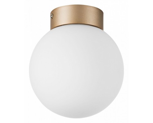 Накладной светильник Lightstar Globo 812013 Накладной светильник Lightstar Globo 812013