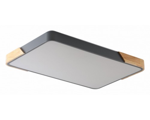 Накладной светильник Zortes Alberro ZRS.01277.60