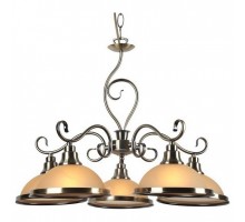 Подвесная люстра Arte Lamp Safari A6905LM-5AB