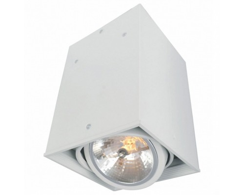 Накладной светильник Arte Lamp Cardani A5936PL-1WH Накладной светильник Arte Lamp Cardani A5936PL-1WH