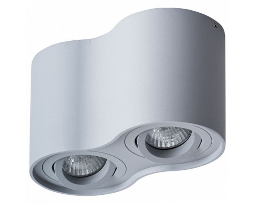 Накладной светильник Arte Lamp Falcon A5645PL-2GY