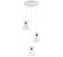 Подвесной светильник Ambrella Light TR TR8467