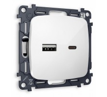 Розетка 2хUSB type A и C без рамки Ambrella Volt MO MO111010