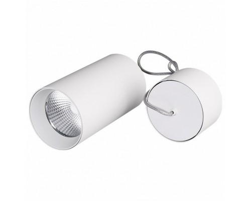 Подвесной светильник Arlight Sp-polo-r85 SP-POLO-R85-2-15W Day White 40deg (White, White Ring) Подвесной светильник Arlight Sp-polo-r85 SP-POLO-R85-2-15W Day White 40deg (White, White Ring)