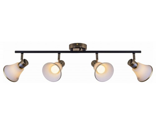 Люстра на штанге  05901-0.8-04 BK+FGD