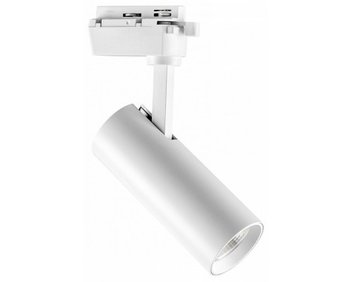 Светильник на штанге Lightstar Volta 228246 Светильник на штанге Lightstar Volta 228246