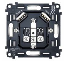 Механизм розетки с заземлением и 2хUSB type A Ambrella Volt Quant VM155