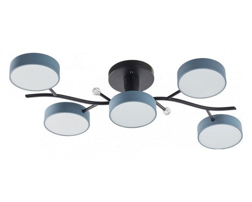 Потолочная люстра Arte Milano Ferrara 256606/5 Bk/Gr