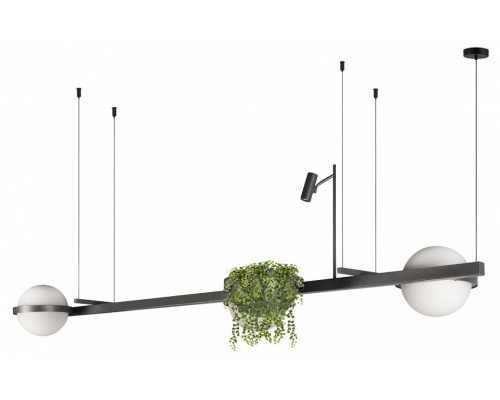 Подвесной светильник Loft it Jardin 10121/C Dark grey Подвесной светильник Loft it Jardin 10121/C Dark grey