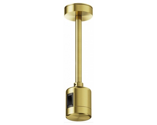 Основание на штанге Maytoni Accessories for tracks Flarity TRA156C-IPCL1-BS Основание на штанге Maytoni Accessories for tracks Flarity TRA156C-IPCL1-BS