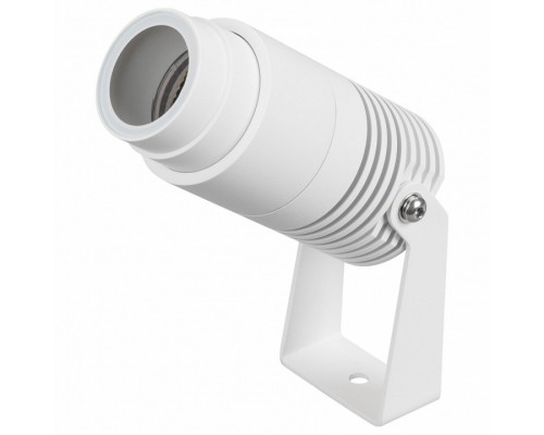 Настенно-потолочный прожектор Arlight RAY 042676(1)
