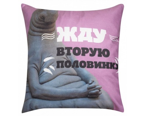 Подушка декоративная (40x40 см) Ждун Подушка декоративная (40x40 см) Ждун
