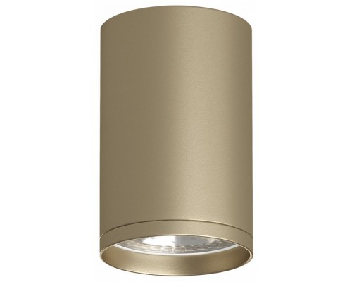 Накладной светильник Denkirs TUBE DK2050-SG