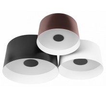 Потолочная люстра Loft it Duo 10360/3