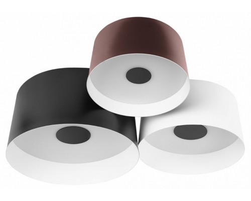 Потолочная люстра Loft it Duo 10360/3