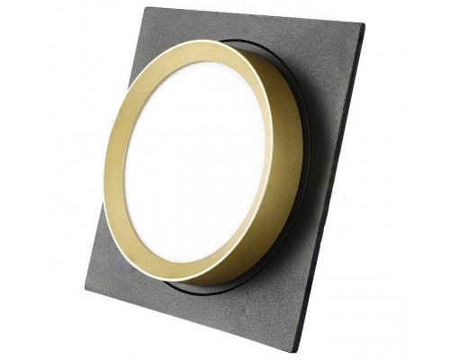 Встраиваемый светильник Lucia Tucci LTP LTP-C002-01GX53-BG