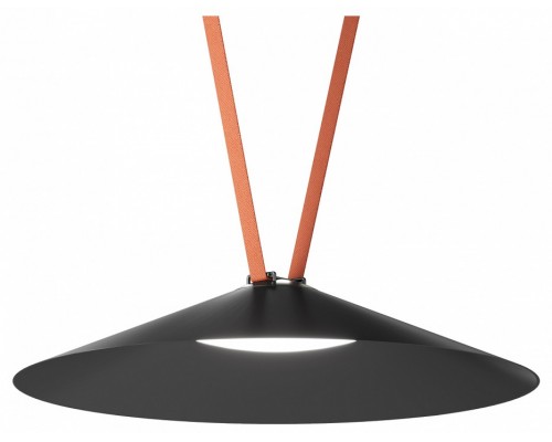 Накладной светильник Denkirs Belty Flow DK5568-BK
